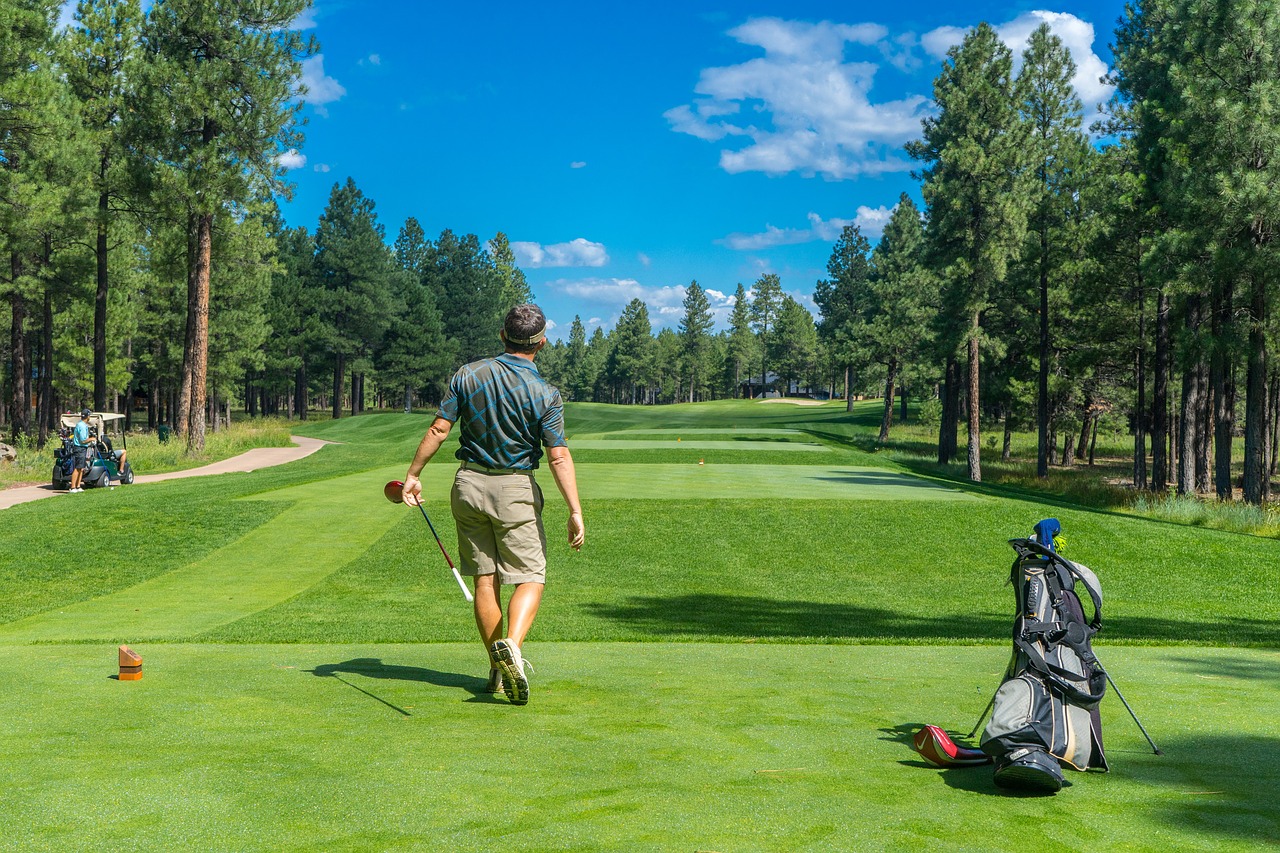 Golf bag
