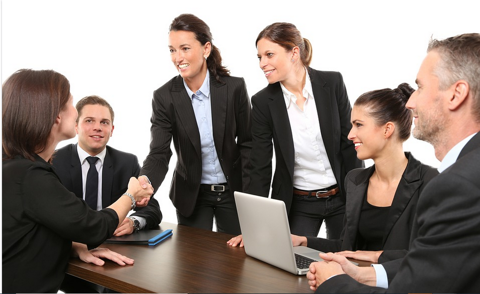 a limited liability company